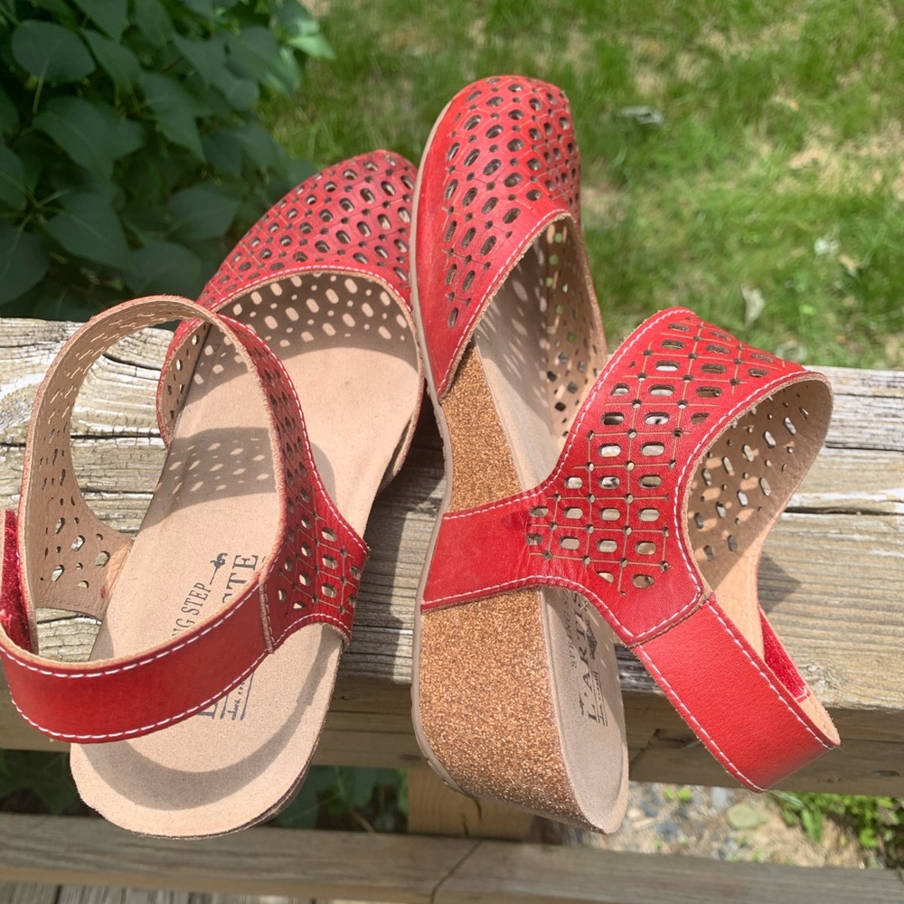 Red Spring Step Mary Jane with low wedges / clog